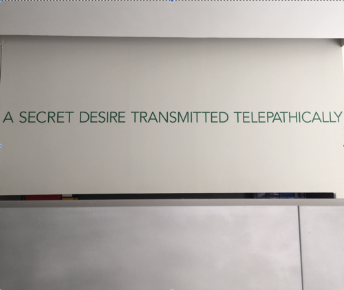 A SECRET DESIRE TRANSMITTED TELEPATHICALLY